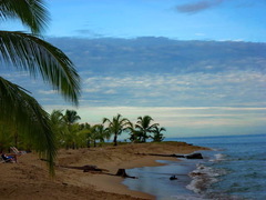 Tortuguero