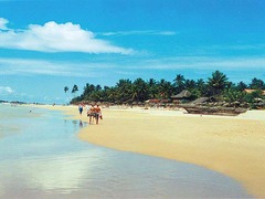 Galle