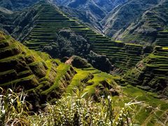 Banaue