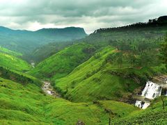 Nuwara Eliya