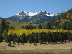 Flagstaff