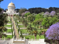 Haifa