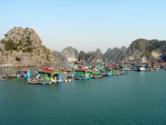 Halong