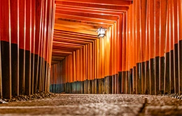 Caminata por los toriis del Santuario Fushimi Inari.