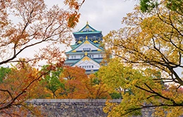 Exploración del histórico Castillo de Osaka.