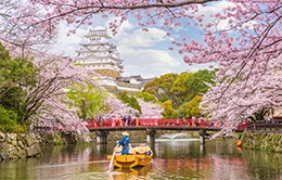 Exploración del majestuoso Castillo de Himeji