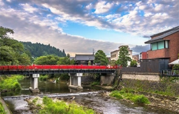 Inmersión en la cultura tradicional de Takayama.