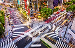 Explora el lujo y la modernidad en el distrito de Ginza.