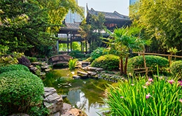Descubre la serenidad del Jardín Yuyuan, un tesoro del siglo XVI.