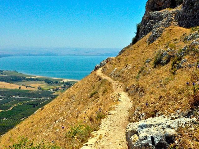 FLEXITRAVEL TIERRA SANTA Y MAR MUERTO