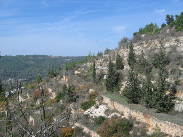 PEREGRINACIÓN A TIERRA SANTA Y ROMA