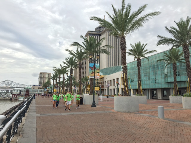 COLORES DE NEW ORLEANS 2026