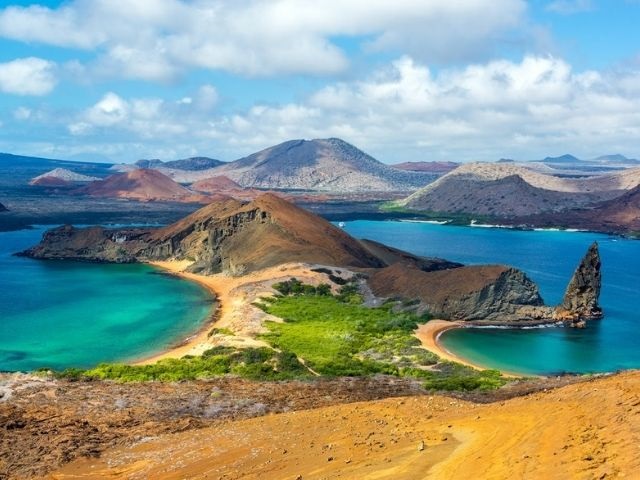 GALAPAGOS TRADICIONAL