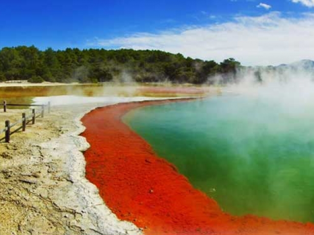 Nueva Zelanda, Tierra De Maoríes