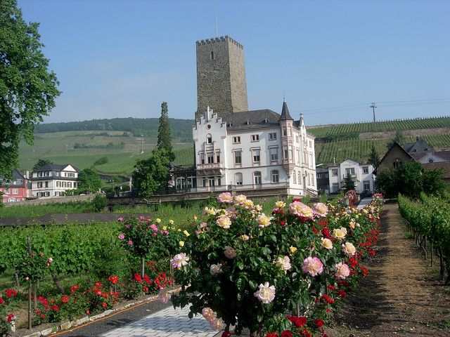 Londres, París, Suiza y Austria