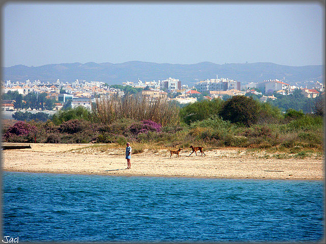 SE5008-Portugal al Completo con Santiago