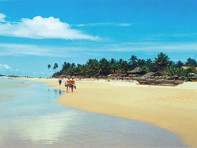 SRI LANKA, LA LAGRIMA DE LA INDIA Y EXTENSION PLAYA HOTEL RIU AHUNGALLA (desde Noviembre 2025 hasta Abril 2026)