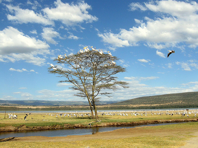 KENYA ESENCIAL Y EXTENSIÓN A ISLA MAURICIO