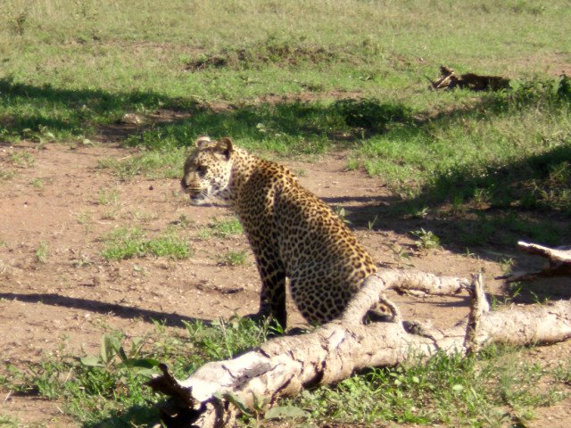 AVENTURA EN TANZANIA (en 4x4) CON ZANZIBAR
