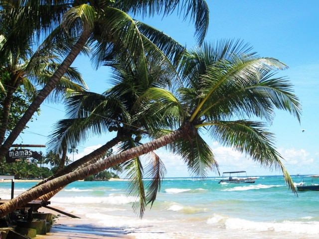 SRI LANKA, LA LAGRIMA DE LA INDIA Y EXTENSION PLAYA HOTEL TRINCO BLU (desde Mayo 2026 a Octubre 2026)