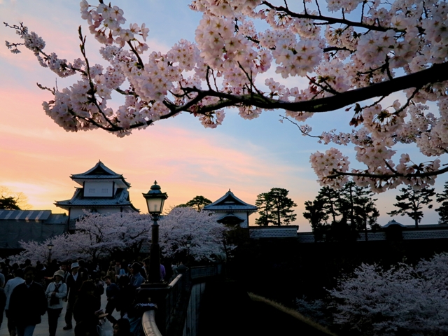 JAPON BANZAI Y COREA (TOKYO - TOKYO)