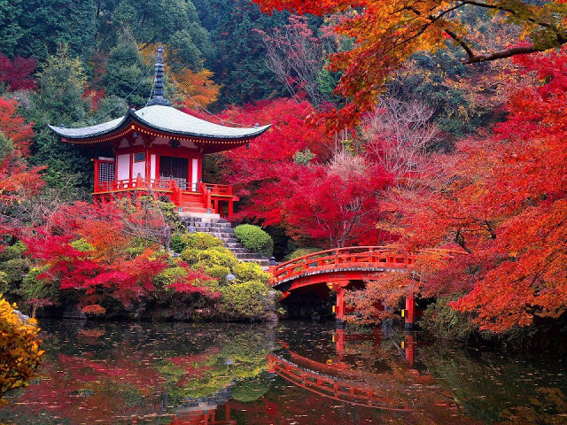 SUPER JAPON (TOKYO-TOKYO) - EXCLUSIVO SPECIAL TOURS (Desde Abril 2027)