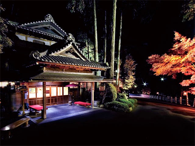 JAPON BANZAI Y COREA (TOKYO - SEÚL)